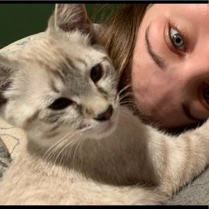 Meet your Posher, Sierra